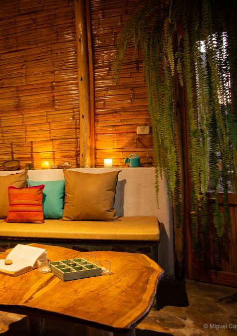 03 - Sala Vuelvepiedras​