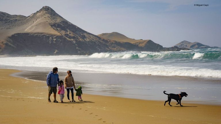 Caminar por la playa