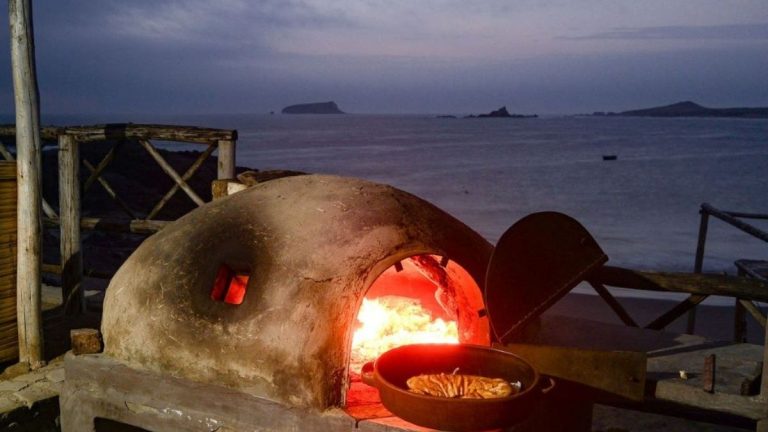 horno de barro bw cormoran 01