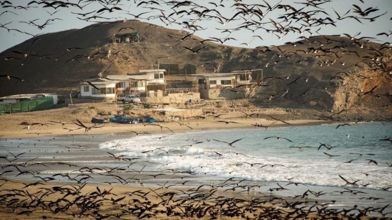 rayadores y lodge 01