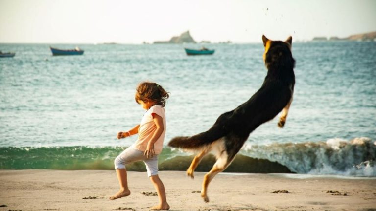 somos Pet Friendly 1jpg 01